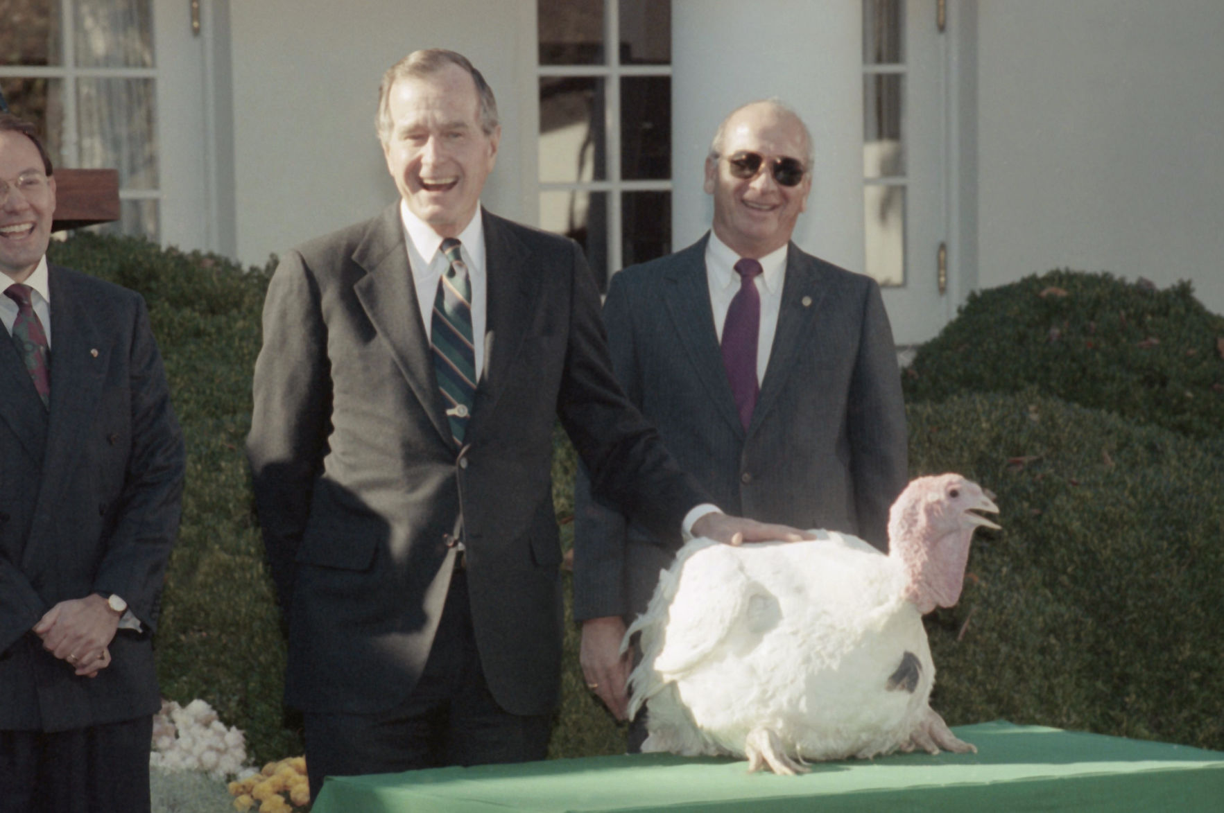 Bush turkey pardon, 1990